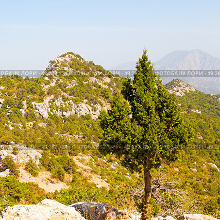  anatolia    from    the hill in asia turkey termessos old architecture and nature . Стоковое фото, агентство Ingram Publishing / Фотобанк Лори