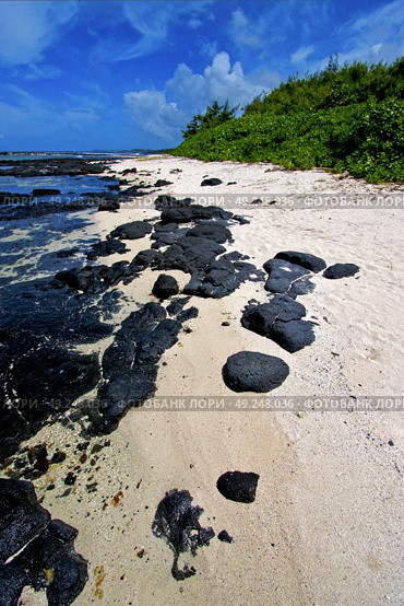  blue bay foam  in the island of deus cocos in mauritius . Стоковое фото, агентство Ingram Publishing / Фотобанк Лори