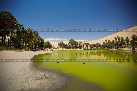  Oasis surrounded by sand dunes near Ica Peru. Стоковое фото, агентство Ingram Publishing / Фотобанк Лори