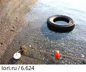 Шина в воде. Стоковое фото, фотограф Маргарита Лир / Фотобанк Лори