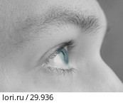 Взгляд надежды. Стоковое фото, фотограф Дмитрий Трубников / Фотобанк Лори