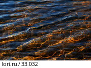 В тихом омуте черти водятся. Стоковое фото, фотограф Игорь Соколов / Фотобанк Лори