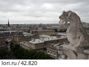 Вид с собора Парижской богоматери (2007 год). Стоковое фото, фотограф Юлия Кузнецова / Фотобанк Лори