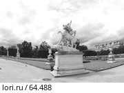 В саду Тюильри. Стоковое фото, фотограф Лифанцева Елена / Фотобанк Лори