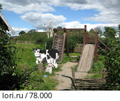 Уютный дворик в городе Суздале (2007 год). Стоковое фото, фотограф Лада Иванова / Фотобанк Лори