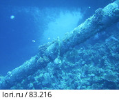 Фрагмент затонувшего корабля. Кораллы. Красное море. Стоковое фото, фотограф Олег Хмельниц / Фотобанк Лори