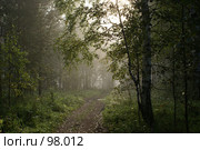 После дождя. Стоковое фото, фотограф Герман Филатов / Фотобанк Лори