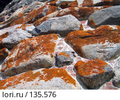 Цветок из камня (2007 год). Редакционное фото, фотограф Ярослава Синицына / Фотобанк Лори