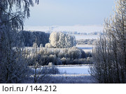 Лесная дорога. Стоковое фото, фотограф Герман Филатов / Фотобанк Лори