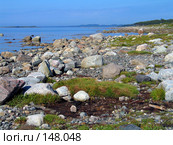 Берег Белого моря (2007 год). Редакционное фото, фотограф Ярослава Синицына / Фотобанк Лори