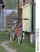 После прогулки (2006 год). Редакционное фото, фотограф Андрей Ерофеев / Фотобанк Лори