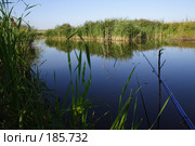 Рыбалка в тихом месте. Стоковое фото, фотограф Антон Тарасов / Фотобанк Лори