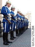 Королевская стража (2005 год). Редакционное фото, фотограф Михаил Мандрыгин / Фотобанк Лори