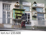 Голубятня в центре Москвы. Стоковое фото, фотограф Виктор Тараканов / Фотобанк Лори