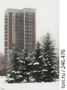 Новокузнецк, улица Кирова. Стоковое фото, фотограф Андрей Доронченко / Фотобанк Лори
