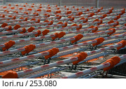 Переполненная стоянка магазинных тележек. Стоковое фото, фотограф Harry / Фотобанк Лори