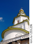 Истра. Надвратная церковь Входа Господня в Иерусалим. (2008 год). Стоковое фото, фотограф Julia Nelson / Фотобанк Лори