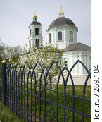 Церковь Пресвятой Богородицы Живоносный источник (2008 год). Редакционное фото, фотограф Михаил Феоктистов / Фотобанк Лори