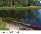 Бревно в воде. Стоковое фото, фотограф Елена Александрова / Фотобанк Лори