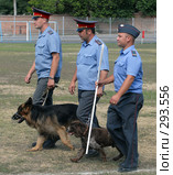 Милиционеры-кинологи с собаками (2007 год). Редакционное фото, фотограф Виктор Филиппович Погонцев / Фотобанк Лори