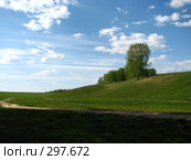 Дорога через поле. Стоковое фото, фотограф Эдуард Кольга / Фотобанк Лори