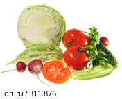 Vegetables Свежие летние овощи. Изолированно. Стоковое фото, фотограф Людмила Иванова / Фотобанк Лори