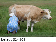 Доярка доит корову на лугу. Стоковое фото, фотограф Gagara / Фотобанк Лори