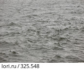 Воды Невы в дождь. Стоковое фото, фотограф Заноза-Ру / Фотобанк Лори
