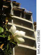 Цветок магнолии и строящиеся здания на заднем плане (2008 год). Стоковое фото, фотограф Михаил Малышев / Фотобанк Лори