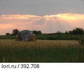 Стог сена на закате. Стоковое фото, фотограф Ольга Романенко / Фотобанк Лори
