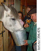 Работник конюшни поит лошадь (2008 год). Редакционное фото, фотограф Кардаполова Наталья / Фотобанк Лори
