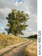 Дорога к реке. Стоковое фото, фотограф Игорь Струков / Фотобанк Лори