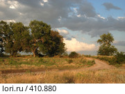 Проселочная дорога. Стоковое фото, фотограф Игорь Струков / Фотобанк Лори