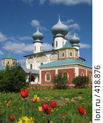 Тихвинский мужской монастырь (2008 год). Стоковое фото, фотограф Светлана Кудрина / Фотобанк Лори