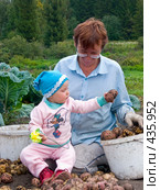 Бабушка и внучка перебирают картофель (2008 год). Редакционное фото, фотограф Ирина Солошенко / Фотобанк Лори