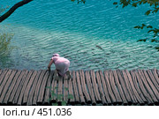 Кормление рыбы на Плитвецких озерах, Хорватия (2008 год). Стоковое фото, фотограф Pukhov K / Фотобанк Лори