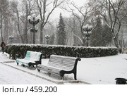 Лавочка в парке Т.Шевченко (Киев) (2008 год). Стоковое фото, фотограф Никончук Алексей / Фотобанк Лори
