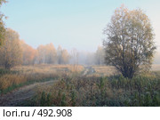 Морозное утро. Стоковое фото, фотограф Круглов Олег / Фотобанк Лори