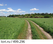Дорога в поле. Стоковое фото, фотограф ElenArt / Фотобанк Лори