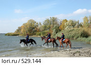 Донские казаки скачут верхом на конях (2008 год). Редакционное фото, фотограф Виктор Филиппович Погонцев / Фотобанк Лори