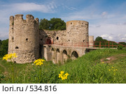 Вход в Крепость Копорье. Северная и Южная башни. Стоковое фото, фотограф Роман Рожков / Фотобанк Лори