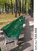 Скамейка в парке. Стоковое фото, фотограф Андрюхина Анастасия / Фотобанк Лори