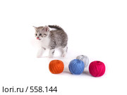 Котенок играет с клубками. Стоковое фото, фотограф Cветлана Гладкова / Фотобанк Лори