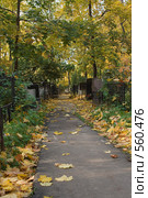 Кладбище. Стоковое фото, фотограф Цветков Виталий / Фотобанк Лори
