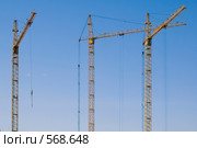 Любовный треугольник. Стоковое фото, фотограф Александр Алексеев / Фотобанк Лори