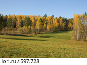 Лесная лужайка осенью. Стоковое фото, фотограф Виктор Уткин / Фотобанк Лори