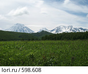 Камчатка, природный парк Налычево, трио вулканов. Стоковое фото, фотограф Легкобыт Николай / Фотобанк Лори