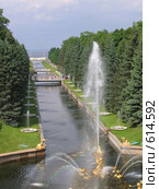 Самсон (2005 год). Редакционное фото, фотограф Виталий Сизов / Фотобанк Лори