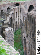 Рим. Колизей (2008 год). Стоковое фото, фотограф Сергеев Игорь / Фотобанк Лори