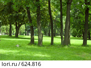 Солнечный парк. Стоковое фото, фотограф Наталья Груздева / Фотобанк Лори